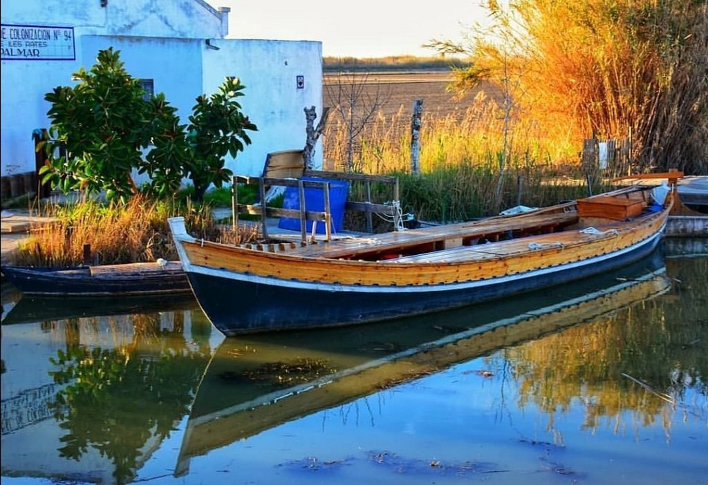 Albufera valencia paseos en barca